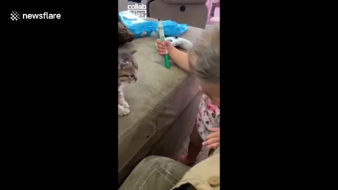 Toddler girl and rescued kitten take turns giving each other kisses in Arizona