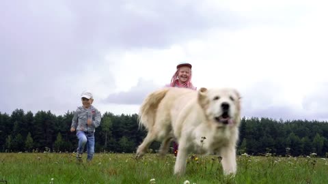 happy children and a beautiful dog running around the field over grass in slow motion