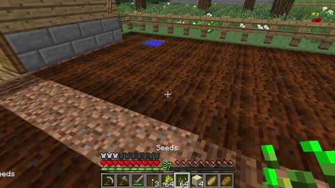 Minecraft: harvesting wheat in Minecraft!!!