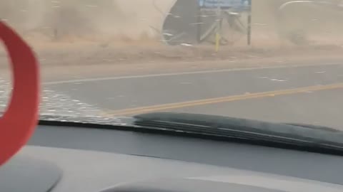 Trampoline Tumbleweed