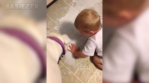 Adorable babies playing with pets (funny)😂