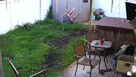 Animals Caught On Security Cameras