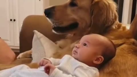 DOGS ARE CHILDREN´S BEST FRIENDS