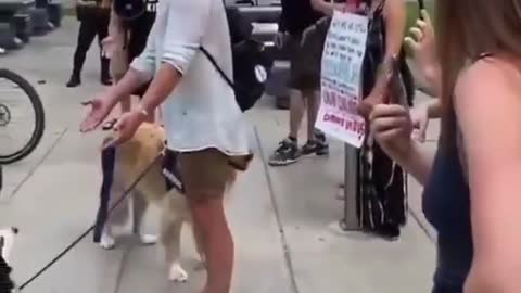 Canadian parents confront police 😲