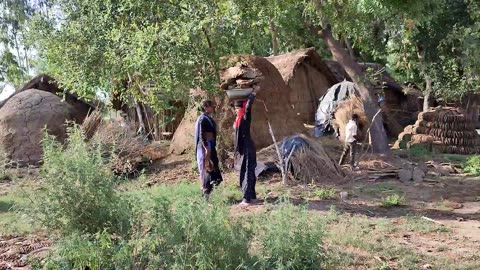 How Do Poor Laborers Live Their Lives In UP India [] How Do Poor People Live In Water [] #RuralLife