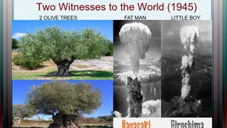 Two Witnesses to the World (1945)