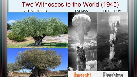 Two Witnesses to the World (1945)