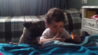 Cute dog and adorable baby playing together