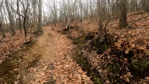 Hiking Liberty Mountain 1971 Trail in Lynchburg Virginia Part 6, March 25