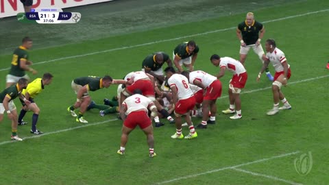 South Africa vs Tonga Rugby World Cup 2023