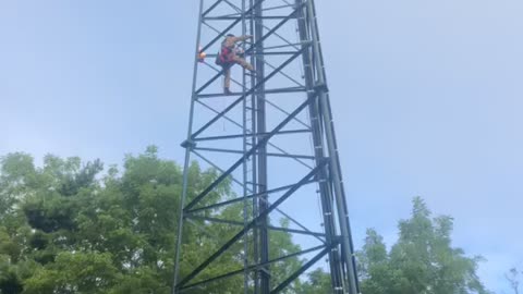 Hornets nest DESTROYED