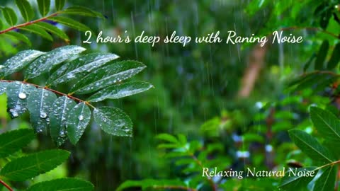 Fall Asleep Fast! 2 Hours of Natural Raning Noise Sleep Sounds