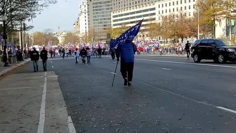 Patriots come out for the Million Maga March 2