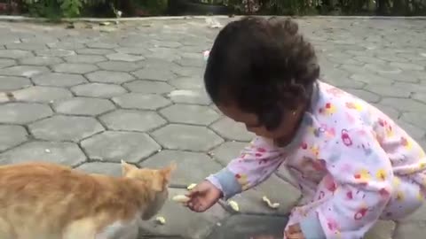 Nina bermain dengan anak kucing