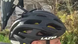 Magpie Call Keeps Cyclist Safe From Being Swooped