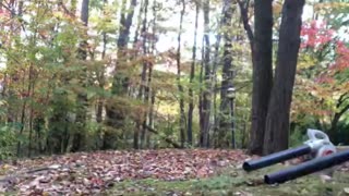 Fall leaf cleaning