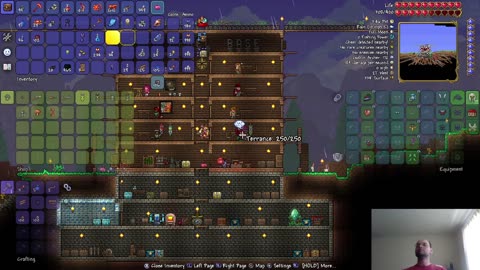 A Clingy Doll; Terraria, Expert Drunk World, Ep 79