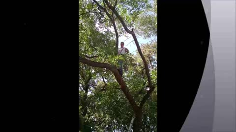 Frontier Residential Tree Service - (682) 229-6552