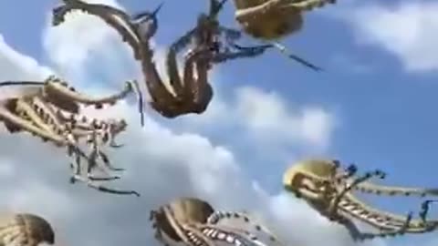 Flying Octopus 🐙🦑🐙🐙