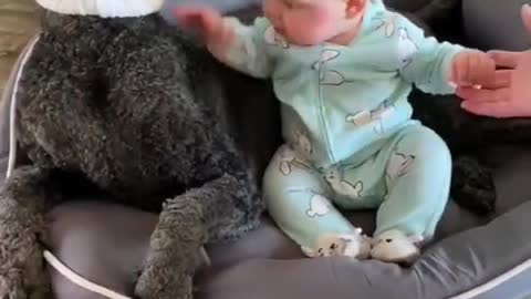 Dog Doesn't Like Easter outfit As Much As Infant| Cute baby