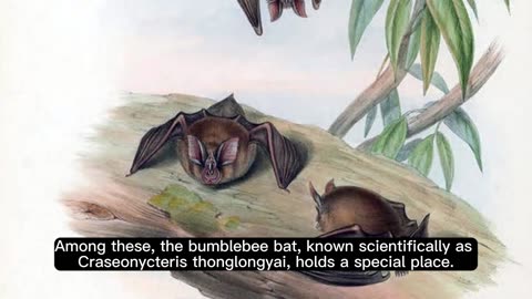 mammal is the bumblebee bat.🎇