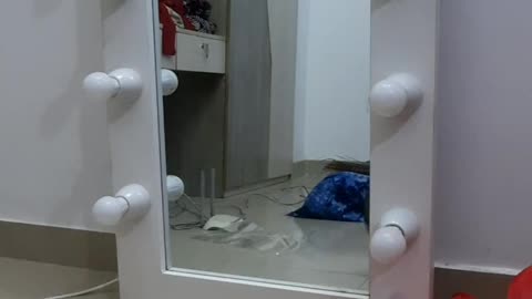 Cat Excited to See Reflection in Mirror