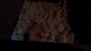 Cute ferret playing. Snowball's night time swim in packing peanuts. See description.
