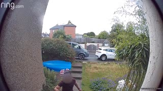 Dog Sends Delivery Driver Running Down Street