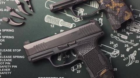 Sig Sauer P365 grip module removal and replacement