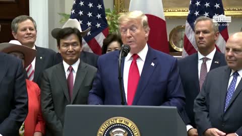 President Trump just signed two new trade agreements with Japan,