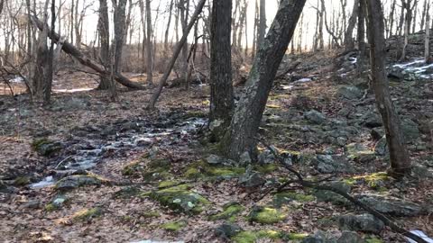 Dunnfield Creek, Delaware Water Gap, NJ