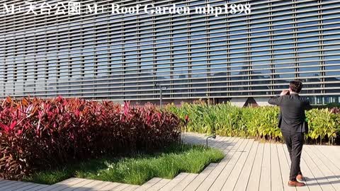 M+天台公園 M+ Roof Garden, mhp1898, Nov 2021 #西九文化區 #M_天台公園 #West_Kowloon_Cultural_District