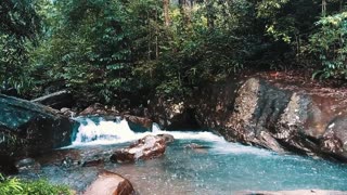 1hr Light RAIN in the RIVER in Sri Lanka