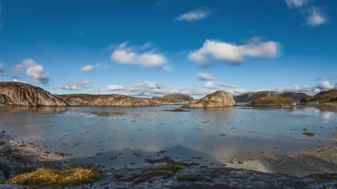 Skagerrak - Europe's Unique Marine Animal Habitat /Marvelous Ducumentary!