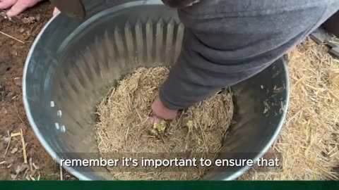 DIY-trash Can Root Cellar