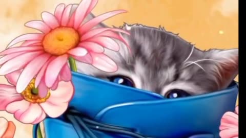 Cat cats animal animals and beautiful video