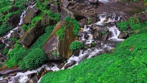 India - In - 4K - - - Incredible - Scenes - Of India Scenic Relaxation Film
