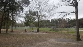Raising Cane's dog park in Slidell, Louisiana. A short review.