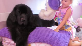 Giant dog comforts sick toddler
