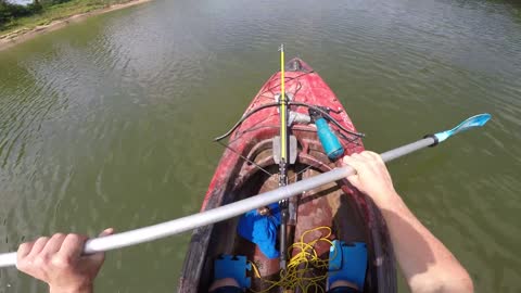 Man Saves Drowning Bat While Fishing