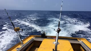 Kona deep sea fishing