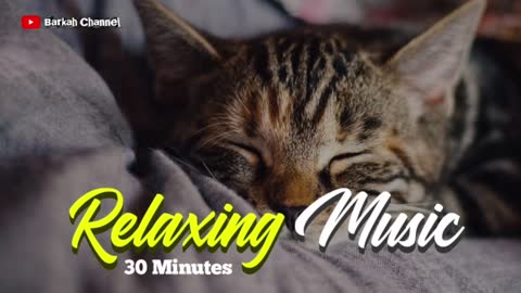 The best music for stress alleviation, to decrease sleeping disorder, and support dreaming.