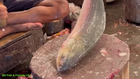 Hilsa Fish Cutting Live In Fish Market