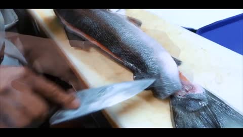 HOW TO FILLETING SALMON FOR SUSHI