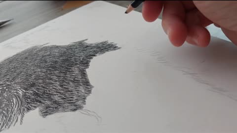 Drawing Techniques