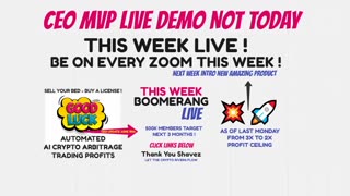 BOOMERANG CEO SHAVEZ NO LIVE DEMO YET - BE PATIENT STAY GRATEFUL - AI BOT PROFITS TOP TEAM ROB BUSER