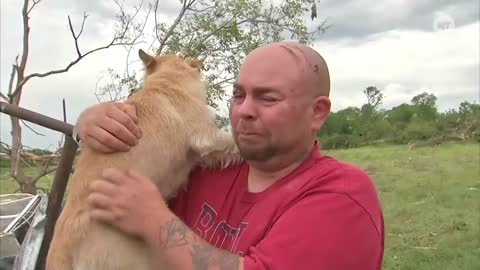 Dogs Reunited With Owners After Tornadoes-Emotional Reunion