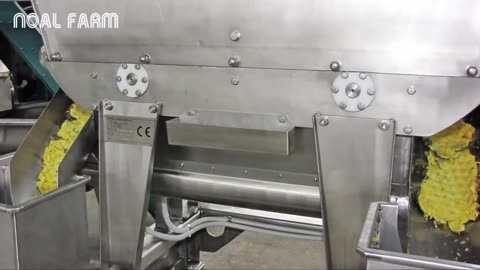 Satisfying Juice Fruit Processing Modern Technology - Lemon Tipus Pineapple Juice Processing