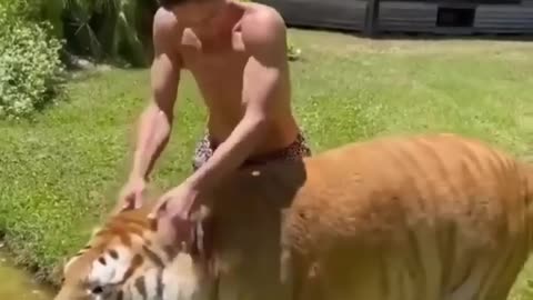 Best funny animal videoss