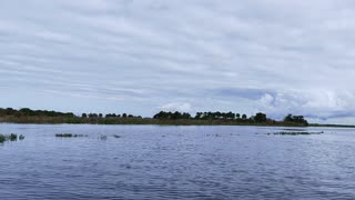 Sitting on Saint John's River